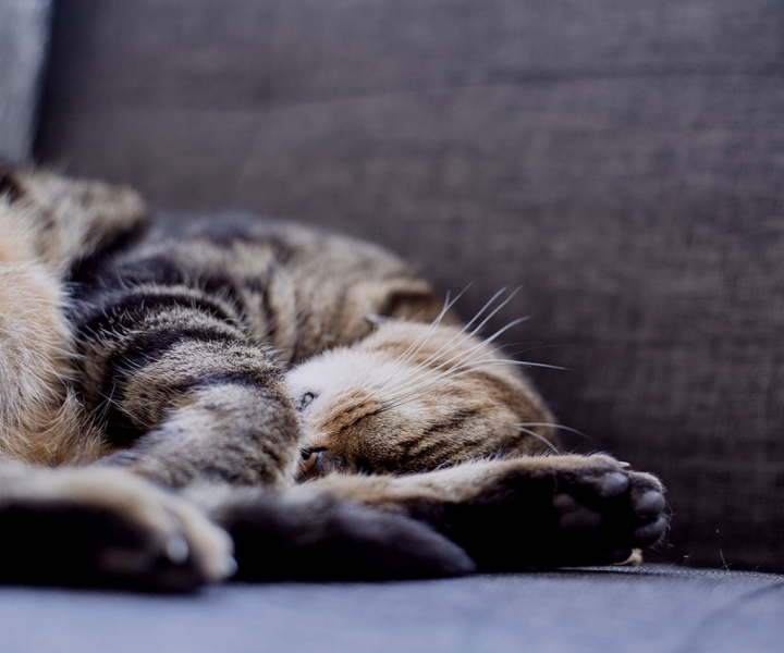 Awesome Gallery Post